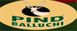 Pind Balluchi Coupons