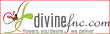 Divinefnc Coupons