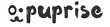 PupRise Promo Codes