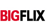 BigFlix Coupons